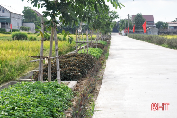Độc đáo “con đường rau thơm” ở Hà Tĩnh